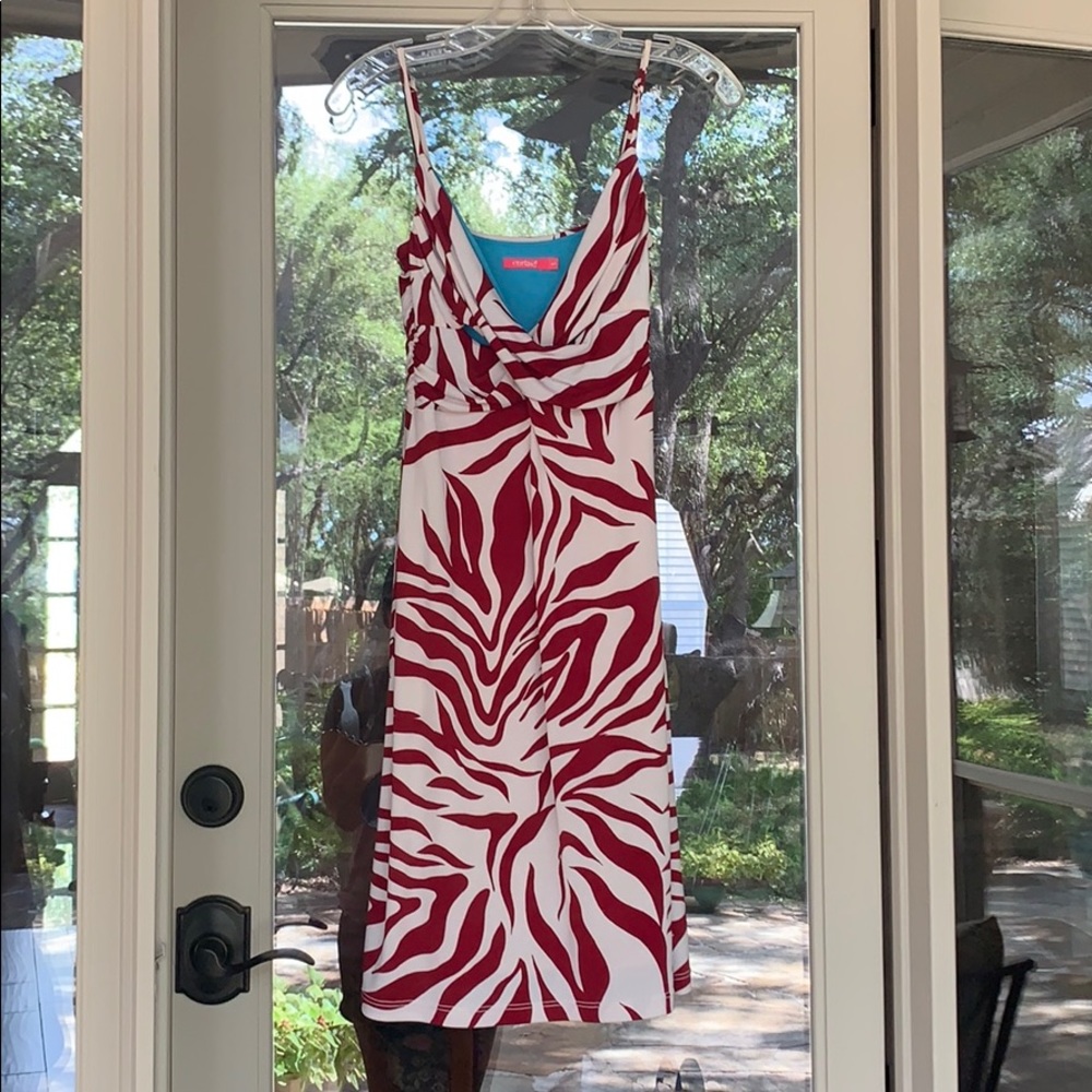 Red and white zebra print dress